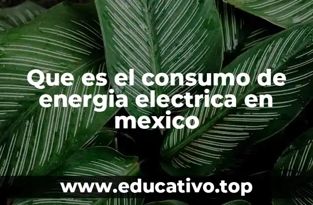 La importancia del uso eficiente de la energía eléctrica en México