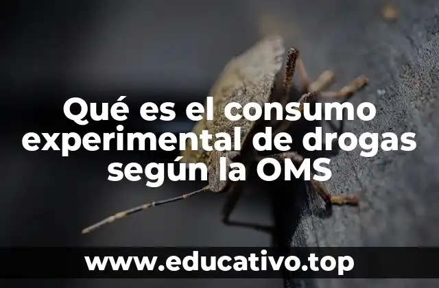 Qué es el consumo experimental de drogas según la OMS