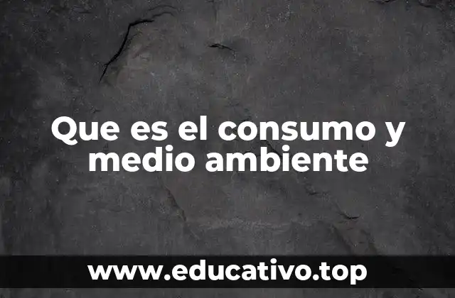 Que es el consumo y medio ambiente