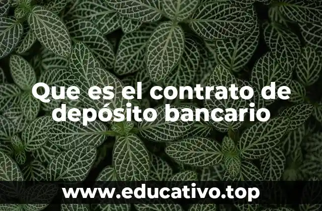 Que es el contrato de depósito bancario