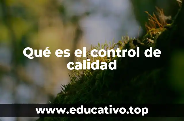 Qué es el control de calidad