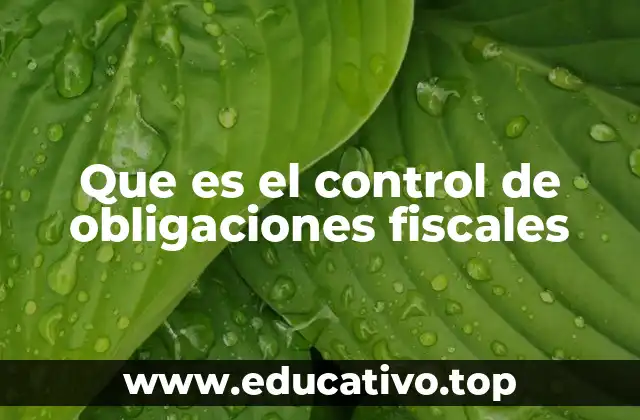 Que es el control de obligaciones fiscales