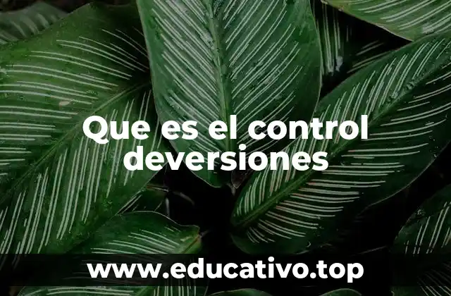Que es el control deversiones