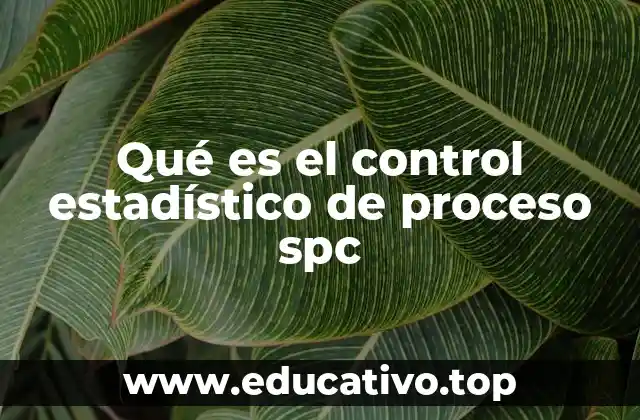 Qué es el control estadístico de proceso spc