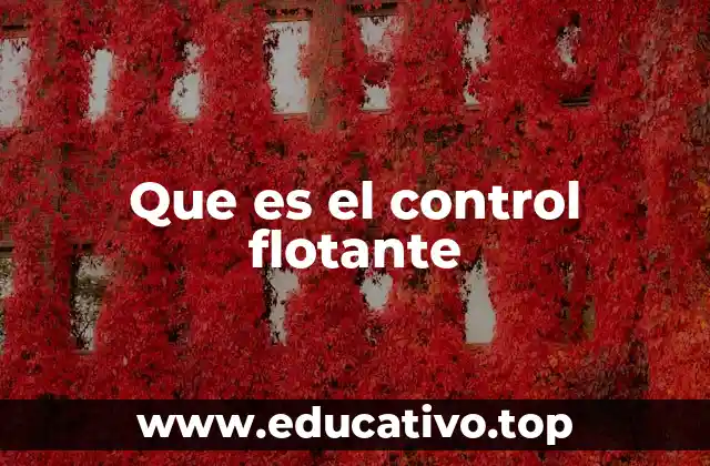 Que es el control flotante