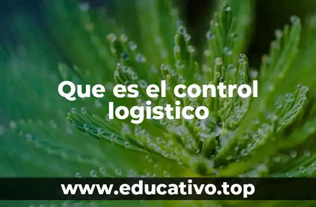 Que es el control logistico