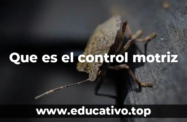 Que es el control motriz