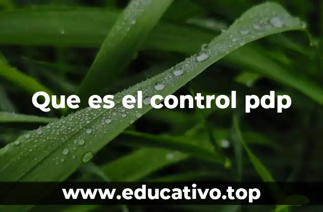 Que es el control pdp