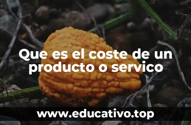 Que es el coste de un producto o servico