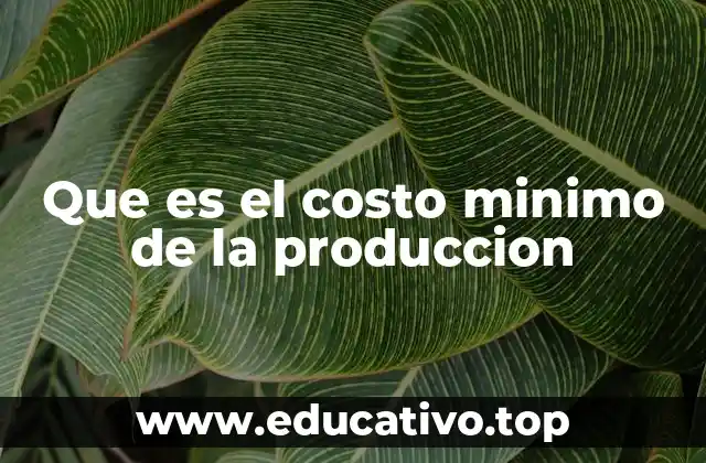 Que es el costo minimo de la produccion