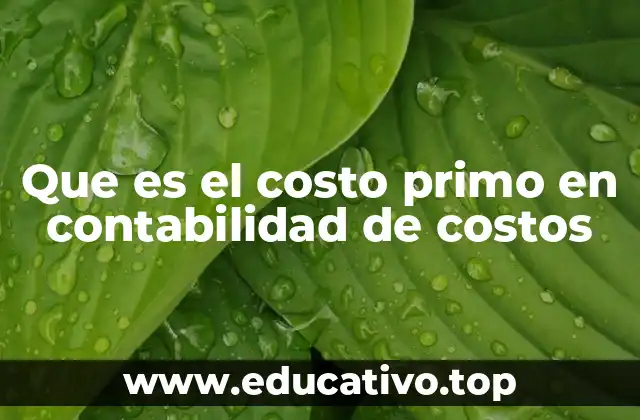 La importancia del costo primo en la toma de decisiones empresariales