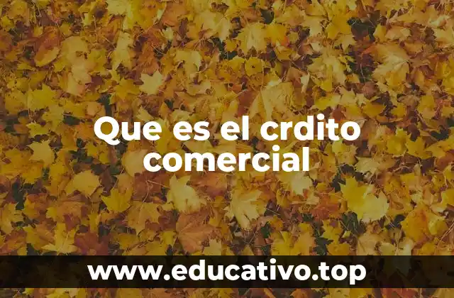 Que es el crdito comercial