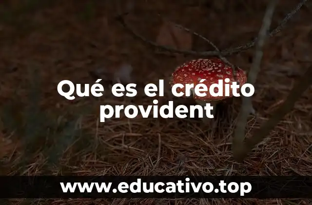 ¿Cómo funciona el sistema de ahorro para el retiro y su relación con el crédito provident?