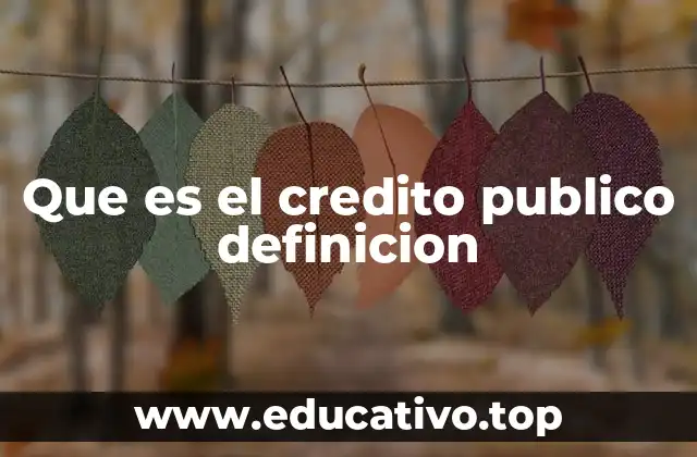 Que es el credito publico definicion