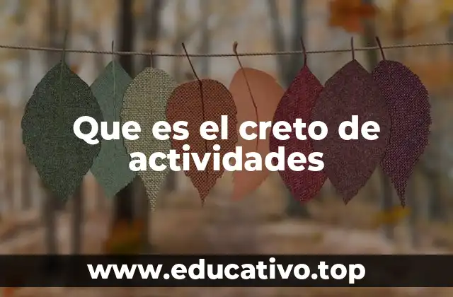 Que es el creto de actividades