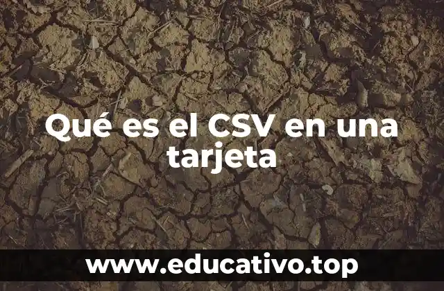Qué es el CSV en una tarjeta