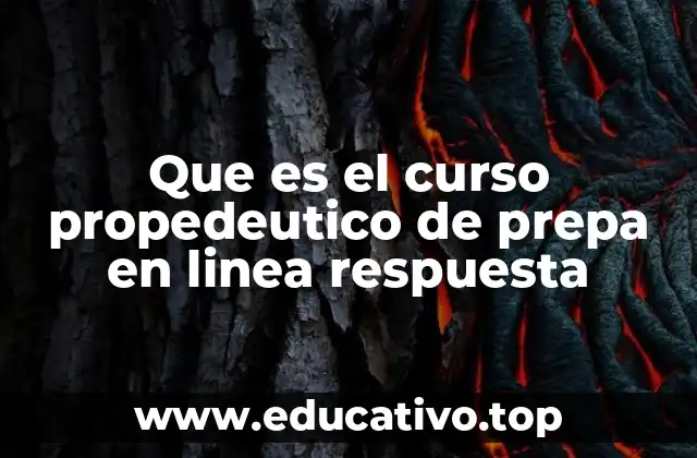 Que es el curso propedeutico de prepa en linea respuesta