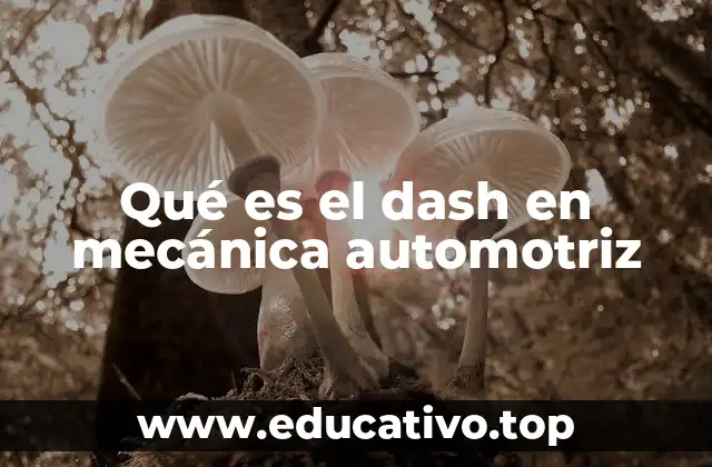Qué es el dash en mecánica automotriz