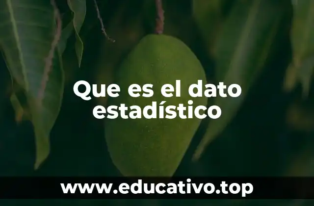 Que es el dato estadístico