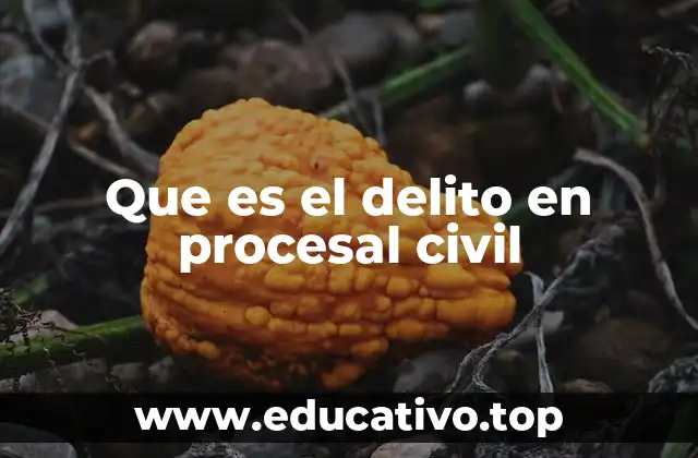 La importancia de los delitos procesales en el derecho civil