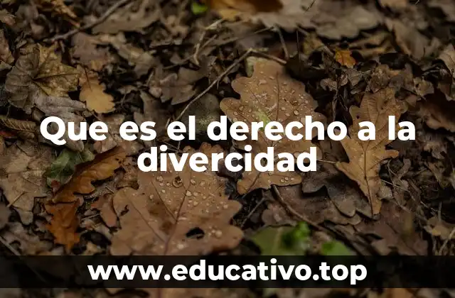 Que es el derecho a la divercidad
