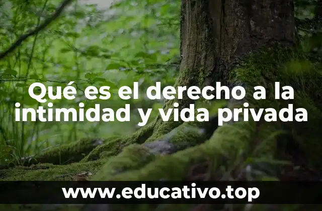 La importancia de proteger la privacidad en la sociedad actual