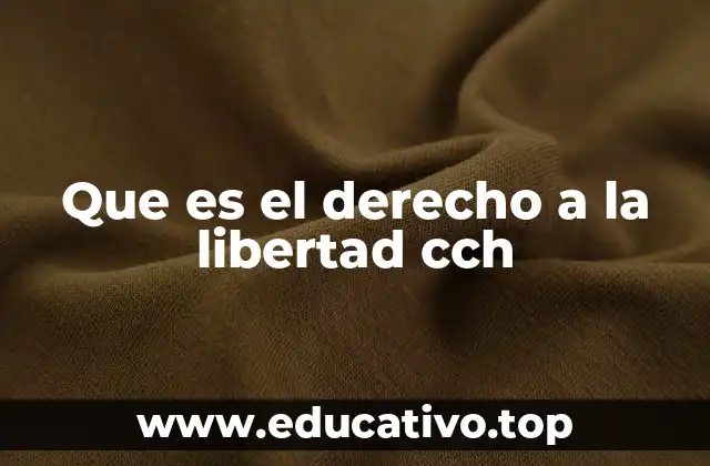 Que es el derecho a la libertad cch