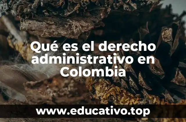 Qué es el derecho administrativo en Colombia