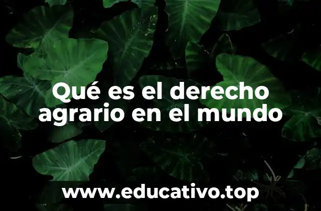 Qué es el derecho agrario en el mundo