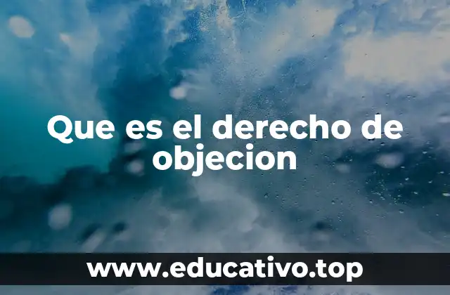 Que es el derecho de objecion