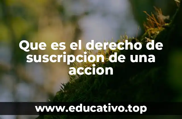 Que es el derecho de suscripcion de una accion