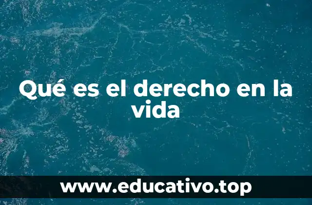 Qué es el derecho en la vida