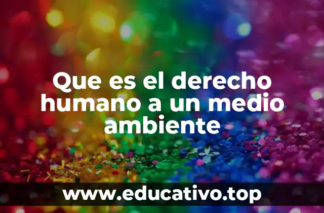 Que es el derecho humano a un medio ambiente