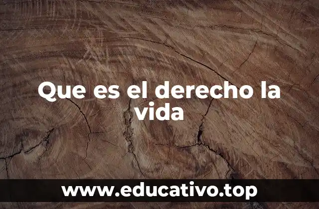 La importancia de proteger la vida en el marco jurídico