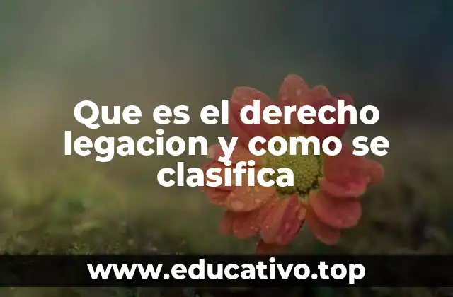 Que es el derecho legacion y como se clasifica