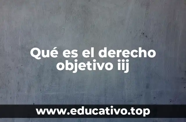El papel del derecho objetivo en el sistema legal