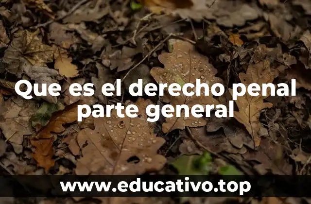 La estructura del derecho penal y la función de la parte general