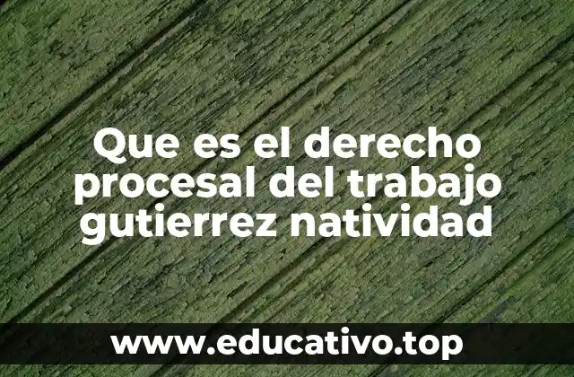 El marco conceptual del derecho procesal laboral