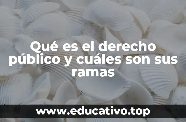 La importancia del derecho público en la sociedad moderna