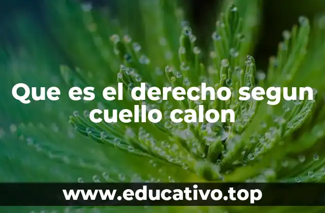 Que es el derecho segun cuello calon