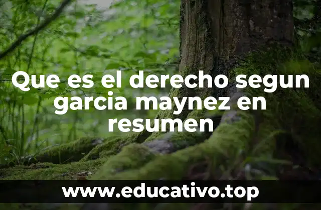 Que es el derecho segun garcia maynez en resumen