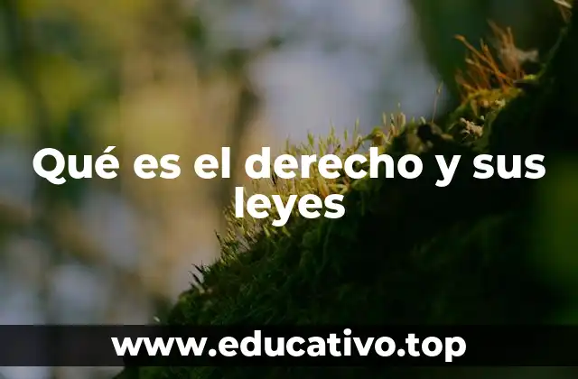 Qué es el derecho y sus leyes