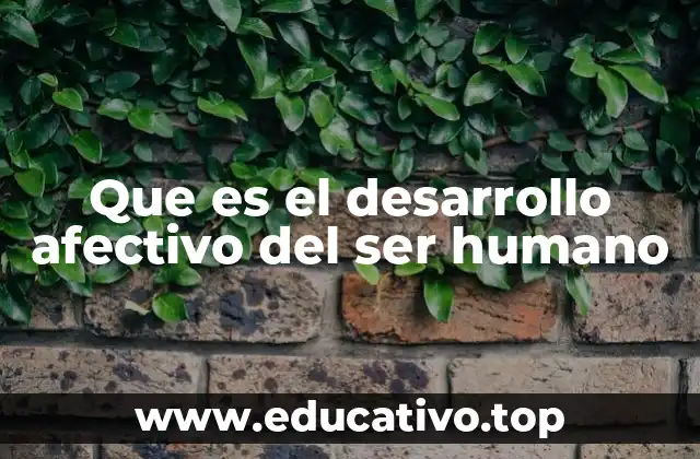 Que es el desarrollo afectivo del ser humano
