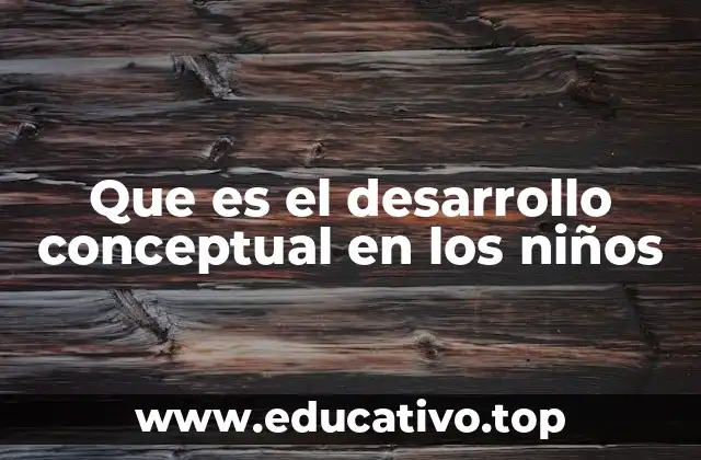 Cómo se inicia el proceso de formación de conceptos en los婴幼儿