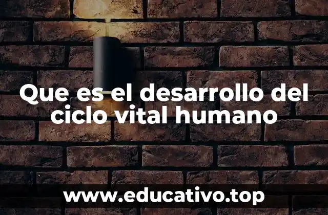 Que es el desarrollo del ciclo vital humano