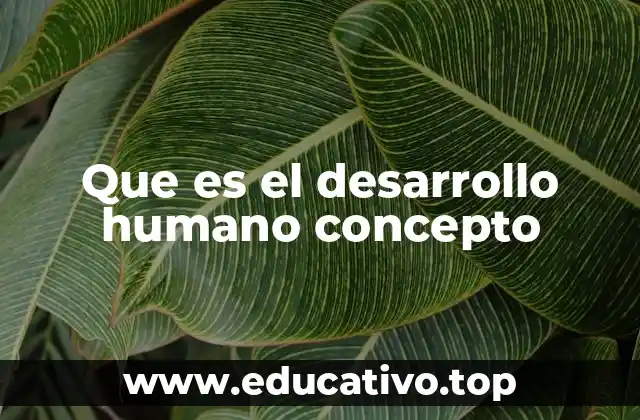Que es el desarrollo humano concepto