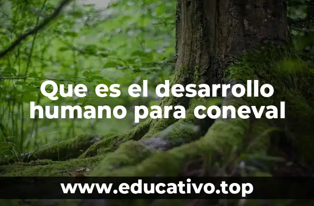 La visión integral del desarrollo humano en el análisis de CONEVAL
