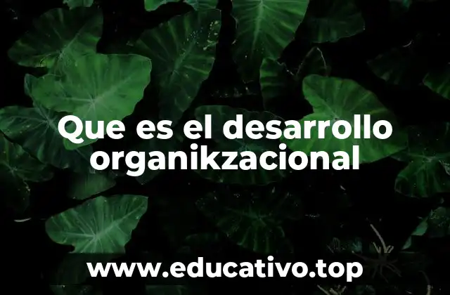 Que es el desarrollo organikzacional