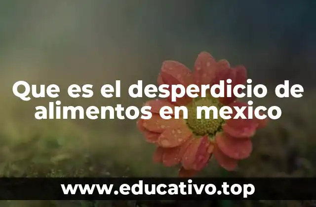 Que es el desperdicio de alimentos en mexico