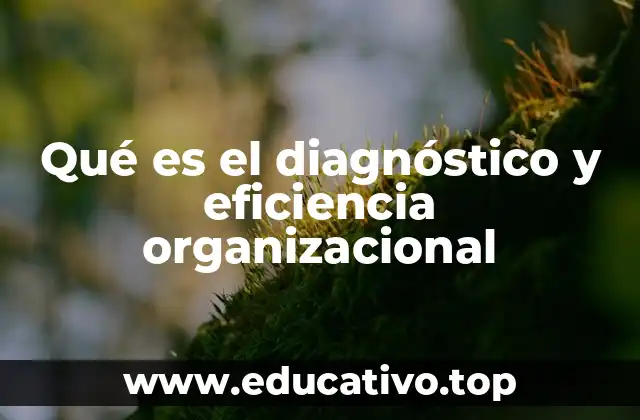 Qué es el diagnóstico y eficiencia organizacional